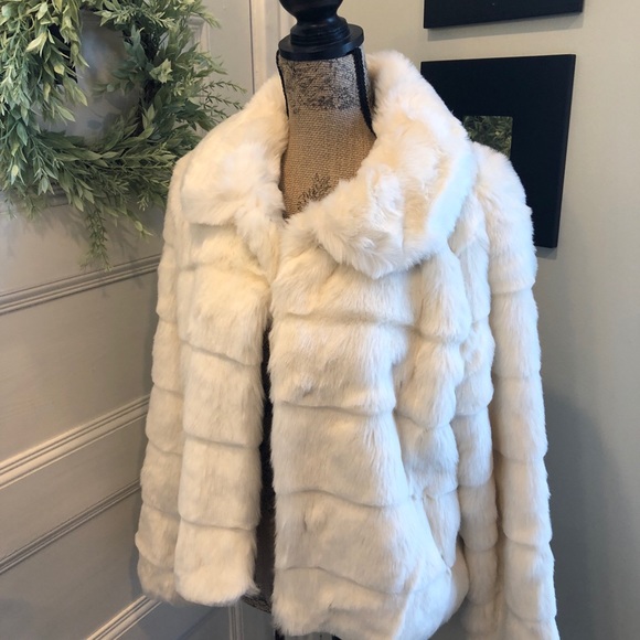 Jacket - Picture 2 of 6